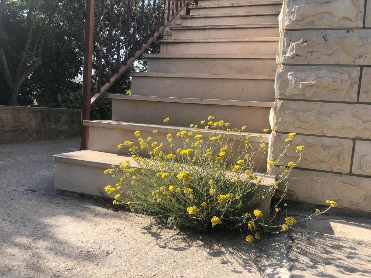 Garden Apartman Σπλιτ Εξωτερικό φωτογραφία
